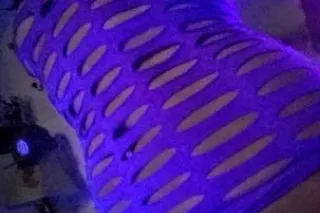 HELLO NEW ORLEANS AND SURROUNDING AREAS - Image 5